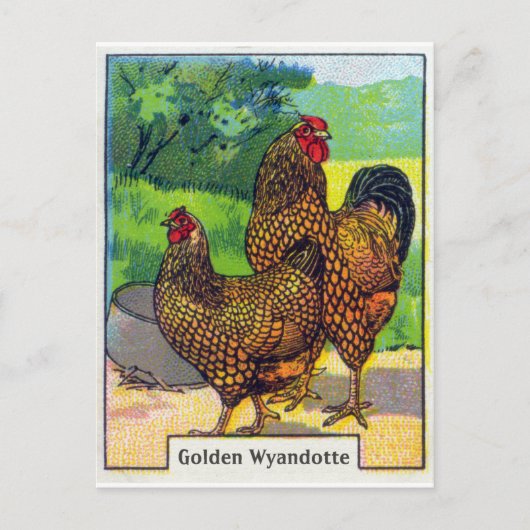  Chicken Print Briefkaart (Voorkant)
