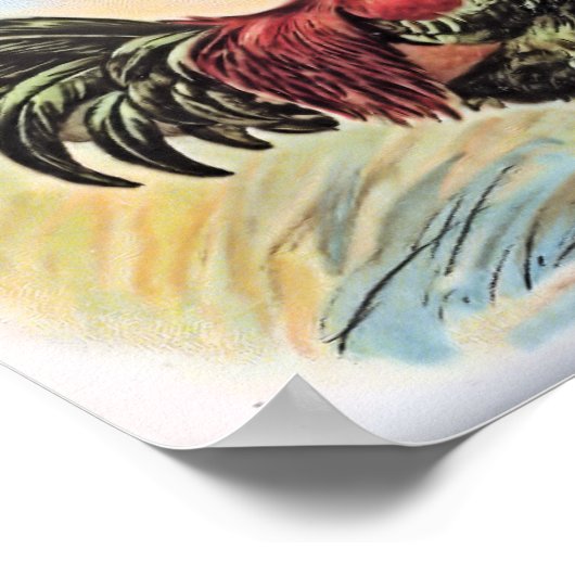 Chicken Print Rooster en Hen (Hoek)