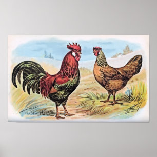 Chicken Print Rooster en Hen