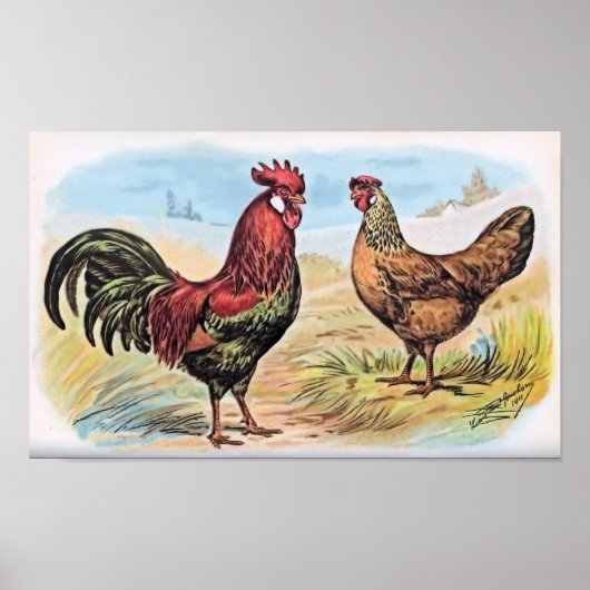 Chicken Print Rooster en Hen (Voorkant)