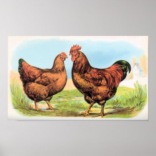 Chicken Print Rooster en Hen Partridges (Voorkant)