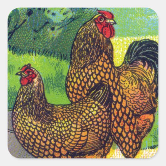  Chicken Print Vierkante Sticker (Voorkant)