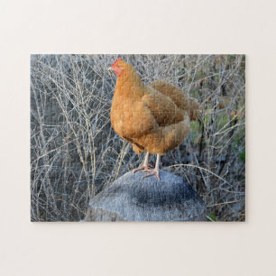 Chicken Puzzle Legpuzzel