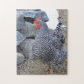 Chicken Puzzle Legpuzzel (Verticaal)