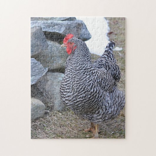 Chicken Puzzle Legpuzzel (Verticaal)