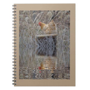 Chicken Reflections Notitieboek