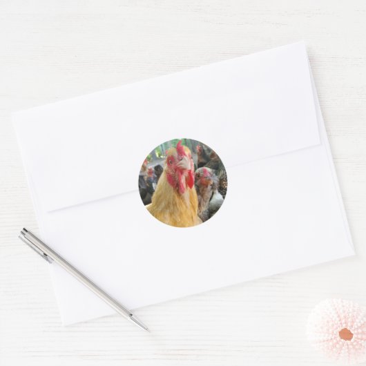 Chicken Ronde Sticker (Envelop)