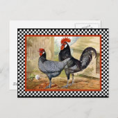 Chicken Rooster Briefkaart (Voorkant / Achterkant)