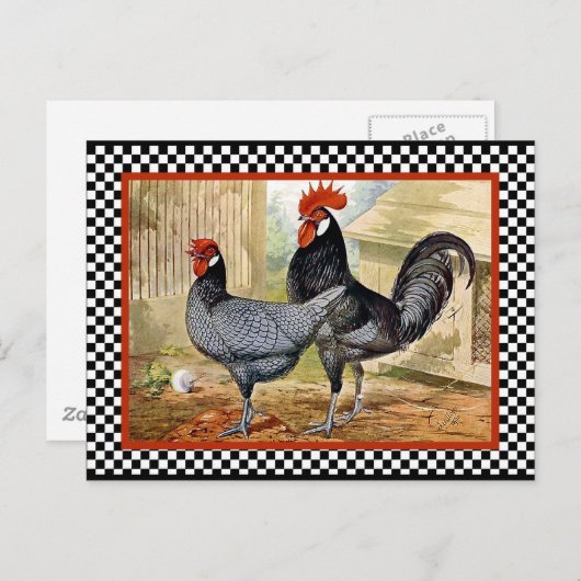 Chicken Rooster Briefkaart (Voorkant / Achterkant)