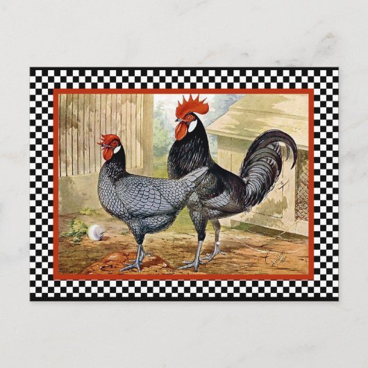 Chicken Rooster Briefkaart (Voorkant)