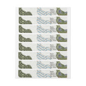 Chicken Rooster Colorful Pattern Boerderij Adreslabel Wikkel (Vel)