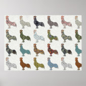 Chicken Rooster Colorful Pattern Boerderij Poster (Voorkant)