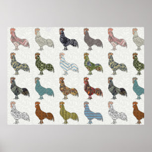 Chicken Rooster Colorful Pattern Boerderij Poster