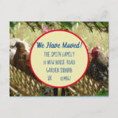 Chicken Rooster New Address Briefkaart we move (Voorkant)