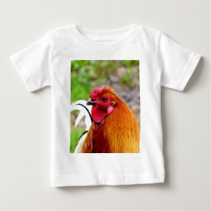 Chicken Rooster wacht op ware liefde