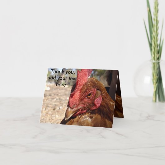 Chicken Scowl, add Your Message, Bedankkaart (Voorkant)