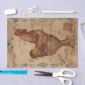 Chicken Scratch Tissuepapier (Craft)