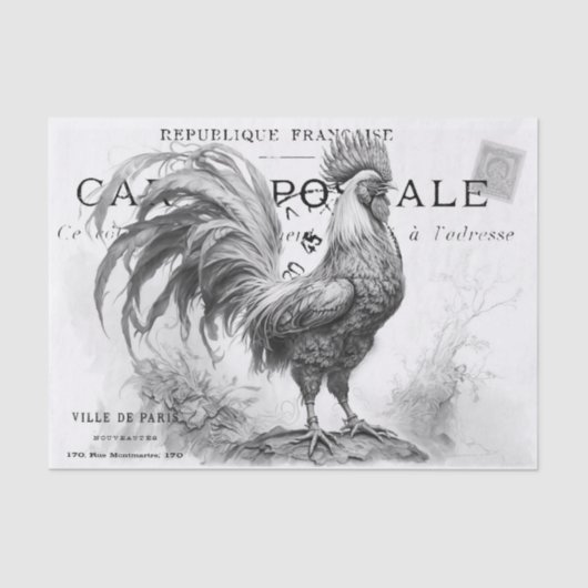 Chicken Scratch-weefselpapier Tissuepapier (Voorkant)