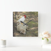 Chicken Sitting on a Sheep Clock Vierkante Klok (Huis)