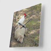 Chicken Sitting on a Sheep Clock Vierkante Klok (Hoek)