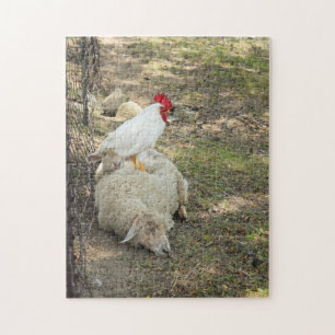 Chicken Sitting on a Sheep Puzzle Legpuzzel