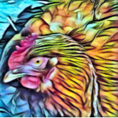 CHICKEN SLEUTELHANGER