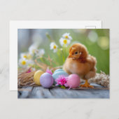 Chicken stands beside an Easter nest with eggs Briefkaart (Voorkant / Achterkant)
