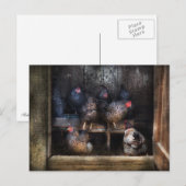 Chicken - The Hen House Briefkaart (Voorkant / Achterkant)