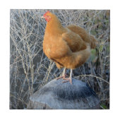 Chicken Tile Tegeltje (Voorkant)