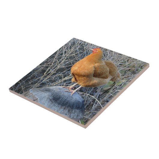 Chicken Tile Tegeltje (Zijkant)