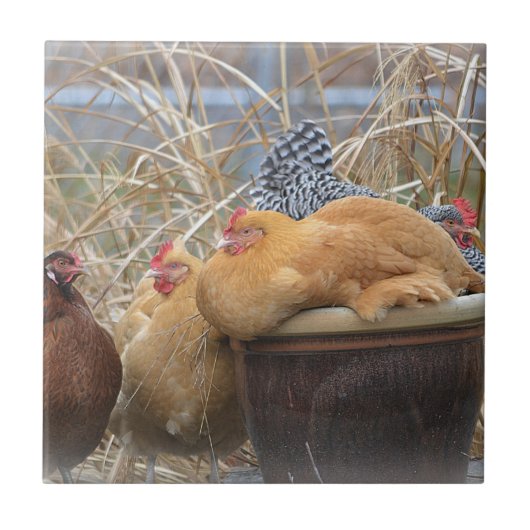 Chicken Tile Tegeltje (Voorkant)