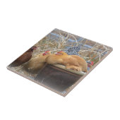 Chicken Tile Tegeltje (Zijkant)