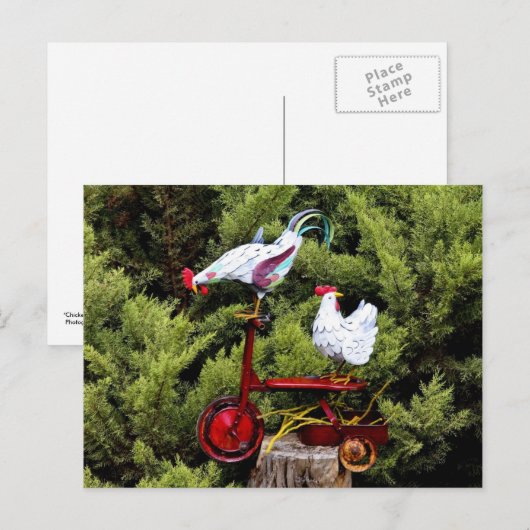 Chicken Trike Briefkaart (Voorkant / Achterkant)