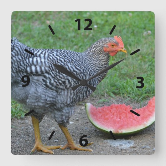 Chicken Watermelon Wall Clock Vierkante Klok (Voorkant)