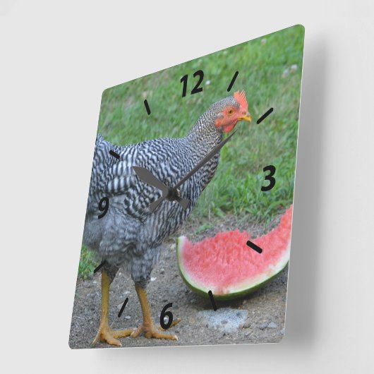 Chicken Watermelon Wall Clock Vierkante Klok (Hoek)