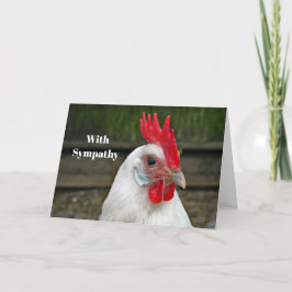 Chicken White Head Rooster Foto Sympathie Kaart