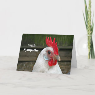 Chicken White Head Rooster Fotosympathie Kaart