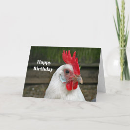 Chicken White Head Rooster Photo Birthday Kaart