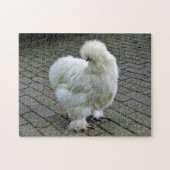Chicken White Silkie Foto Legpuzzel (Horizontaal)