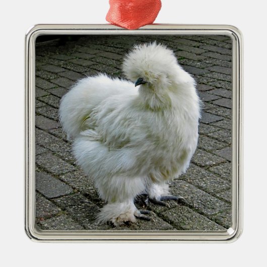 Chicken White Silkie Foto Metalen Ornament (Voorkant)