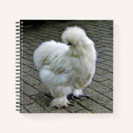 Chicken White Silkie Foto Notitieboek
