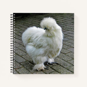 Chicken White Silkie Foto Notitieboek