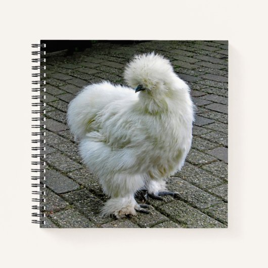 Chicken White Silkie Foto Notitieboek (Voorkant)