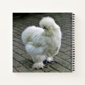 Chicken White Silkie Foto Notitieboek (Achterkant)