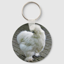 Chicken White Silkie Foto