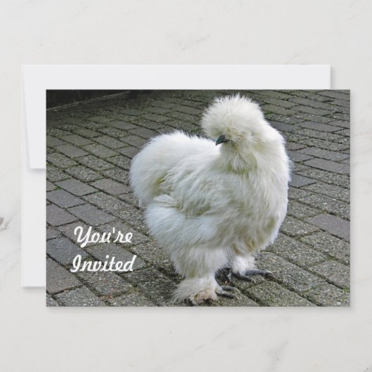 Chicken White Silkie Photo Birthday Kaart (Voorkant)