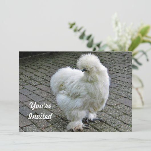 Chicken White Silkie Photo Birthday Kaart (Staand voorkant)
