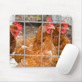 Chicken Wire Muismat (Met muis)