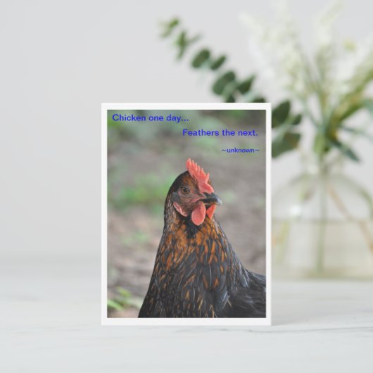 Chicken Wisdom - Feathers Briefkaart (Staand voorkant)