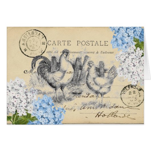 Chickens Blue Flower Postcard Card (Voorkant Horizontaal)